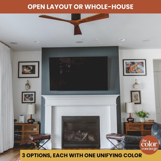 Open Layout or Whole House, One Color