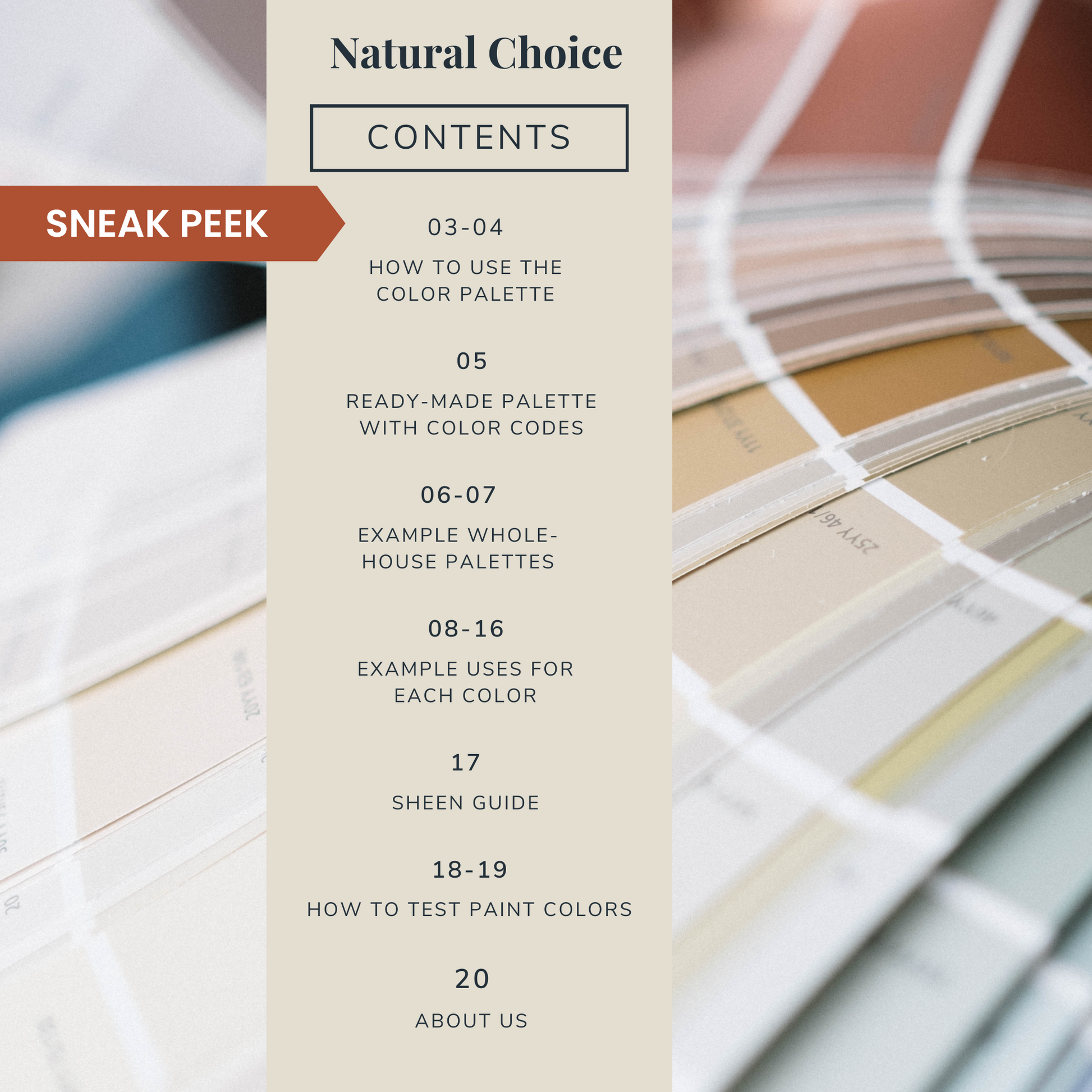 Contents list for Sherwin-Williams Natural Choice color palette