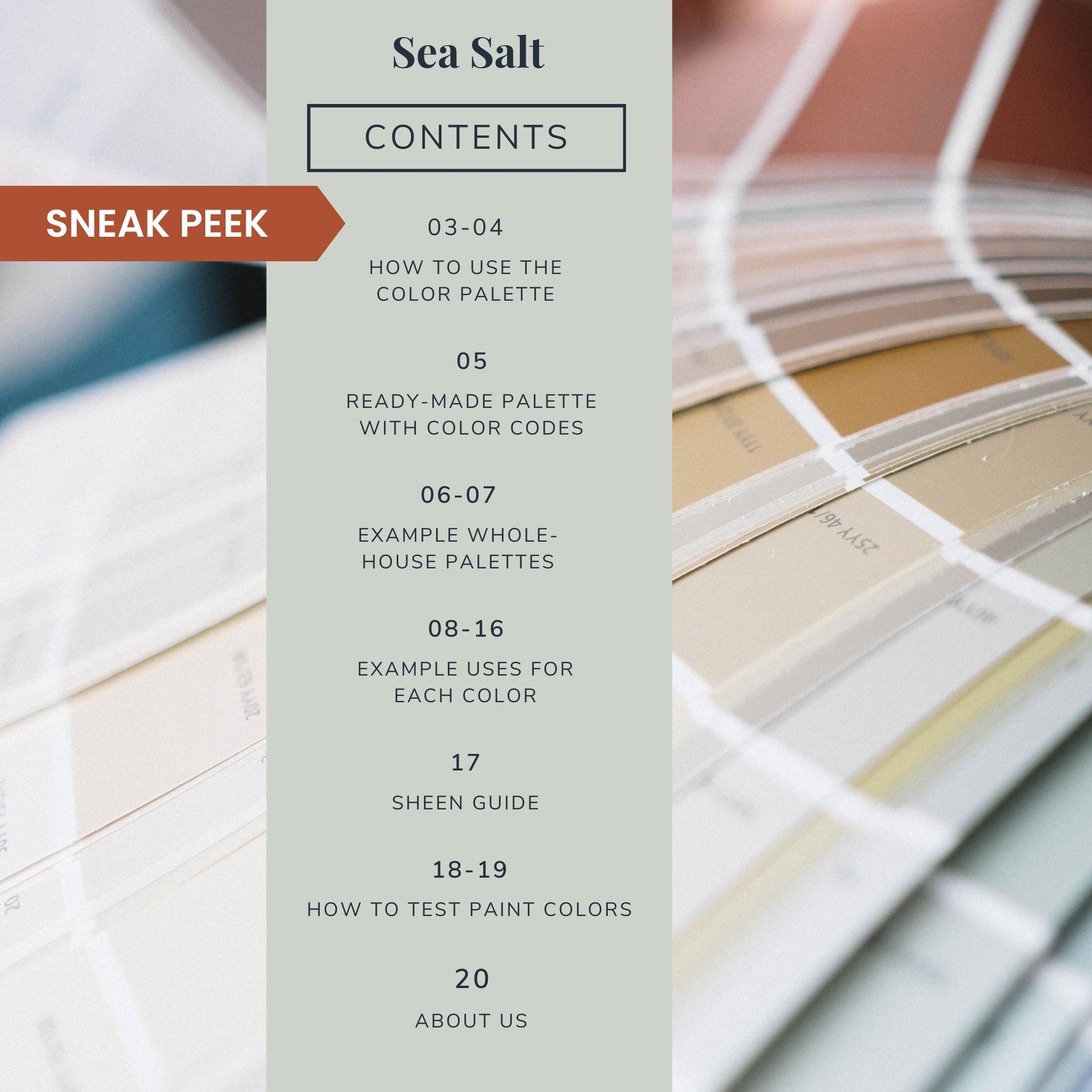 Contents list for a Sherwin-Williams Sea Salt color palette guide